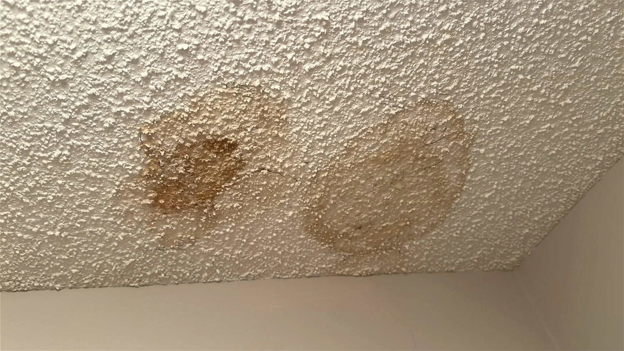 Water Damage Repair